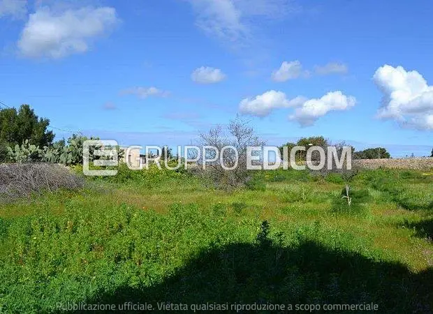 Terreno in Contrada Ballotta - 1