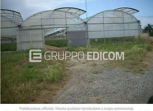 Terreno in Frazione San Pietro Lametino, Località Prato - 1