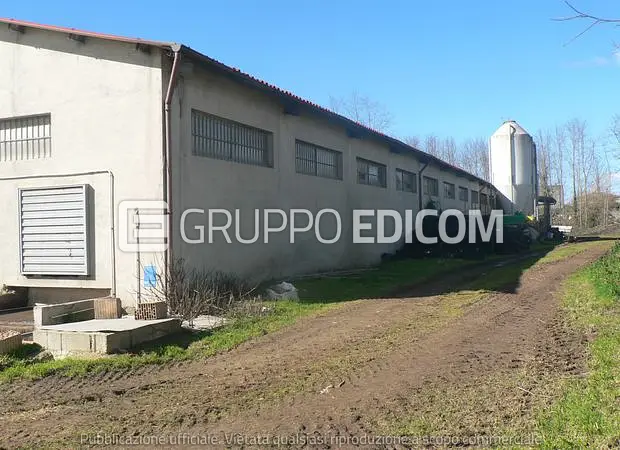 Fabbricati per attività agricole in Torre Polisano - 1