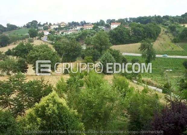 Terreno in Contrada Barricella, 83035 Grottaminarda AV, Italia - 1