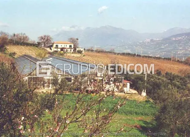 Terreno in via Organo, Contrada Corte - 1